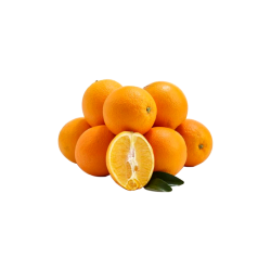 Orange thompson navel