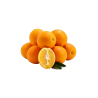 Orange thompson navel