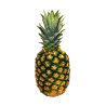 Ananas petit calibre